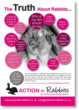 Truth about Rabbits v2.pdf